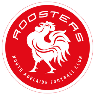 Round 11 - North Adelaide V Adelaide